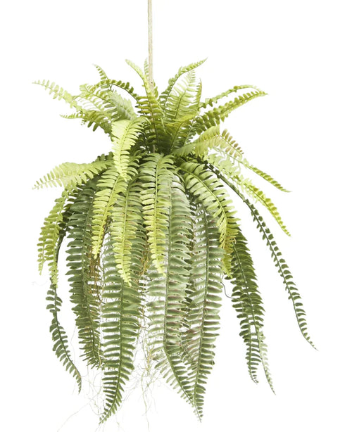Artificial Hanging Fern on Ball